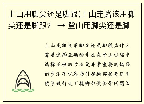 上山用脚尖还是脚跟(上山走路该用脚尖还是脚跟？ → 登山用脚尖还是脚跟？)
